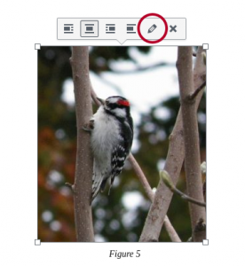 Screenshot showing to click on an image and then the edit option