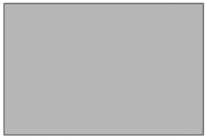 A plain light gray rectangle with a thin black border.