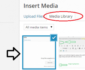 Screenshot of Media Library