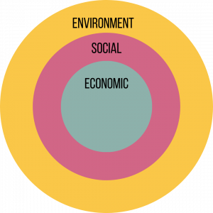Three embedded circles. Environment is the largest circle. Inside it is a second circle labelled society. Inside society is a third circle labeled economy