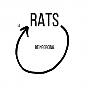 Rats with a single arrow back to itself labeled as "s" with an R in the middle