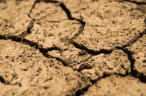 Cracked dry earth