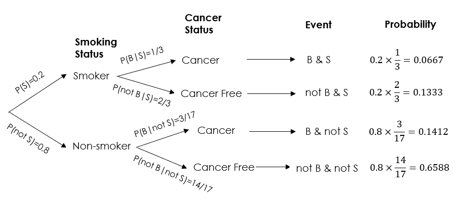 A tree diagram showing the probabilities of cancer given smoking status.