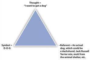 Russel Terrier) at bottom right
