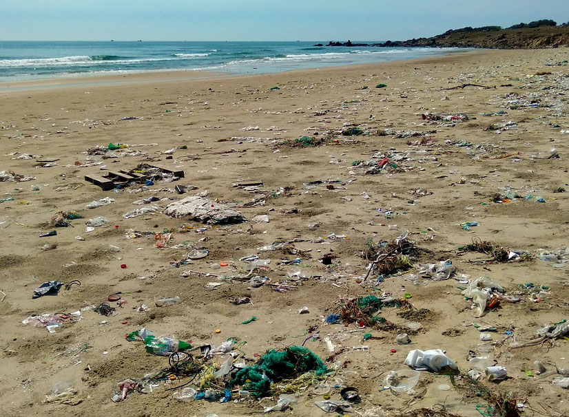 Marine debris on a sandy beach.