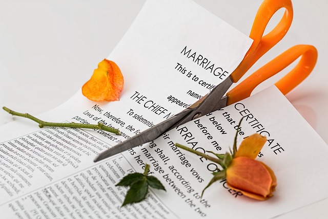 Cutting marriage certificate in half to symbolize divorce.