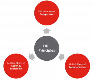 The Three Principles of UDL